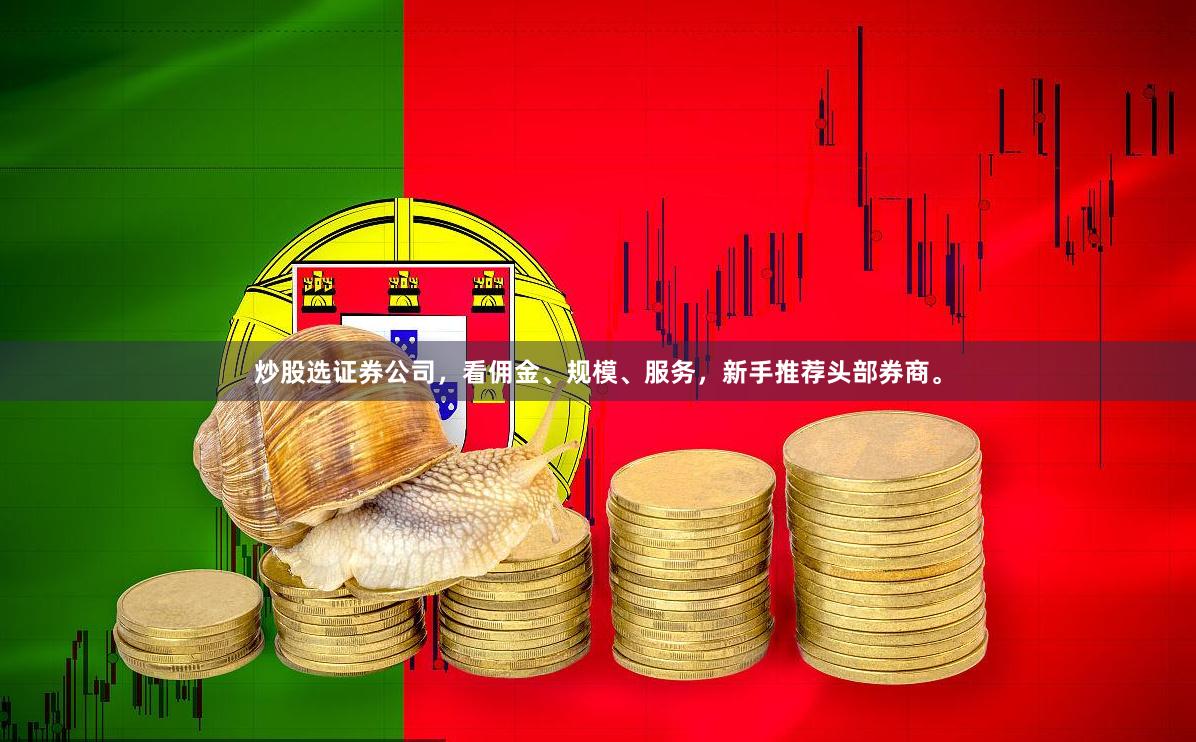 炒股选证券公司,看佣金、规模、服务,新手推荐头部券商。